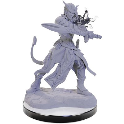 Dungeons and Dragons Miniatures | Board Game Store | Table