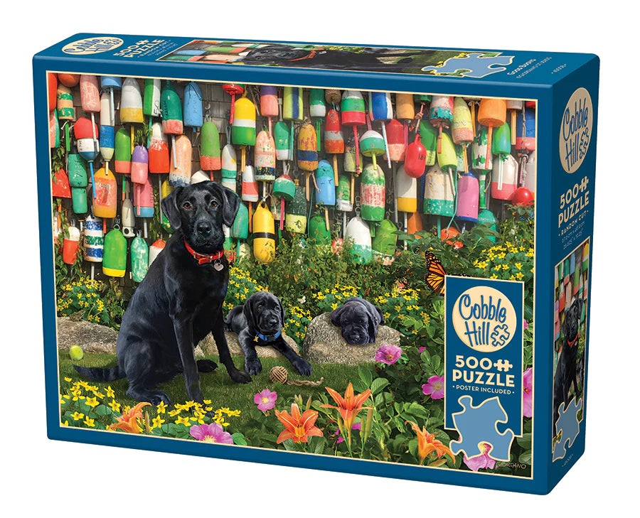 Puzzle: 500 Good Buoys