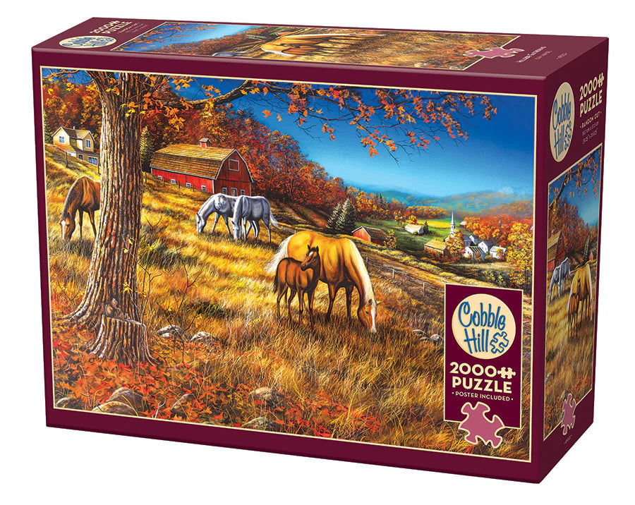 Puzzle : Rassemblement à Hillside 2000