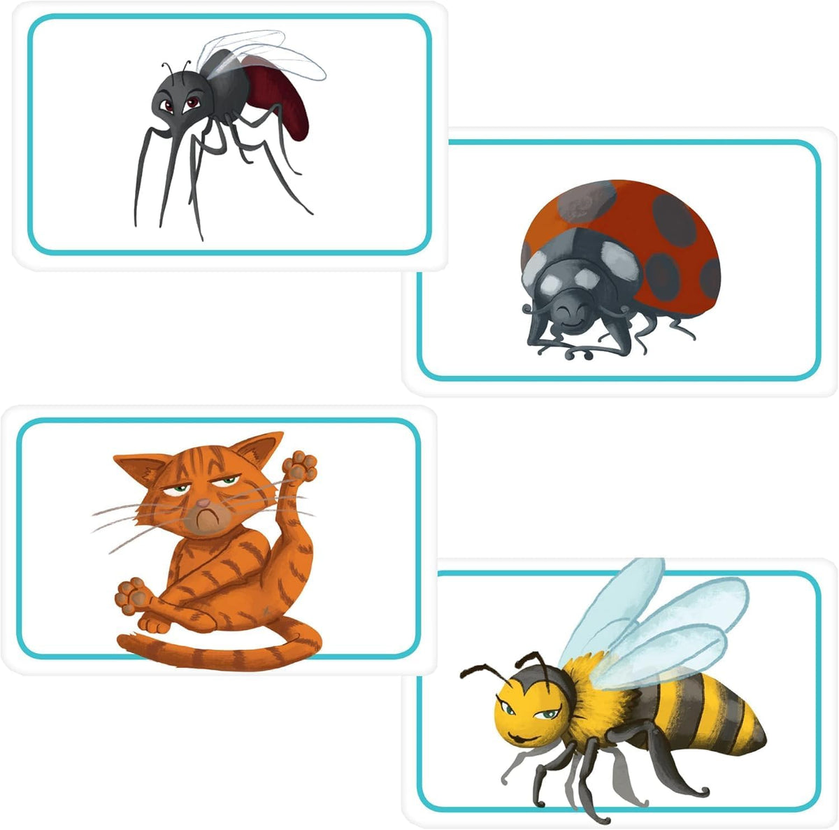 Concept Kids Animals