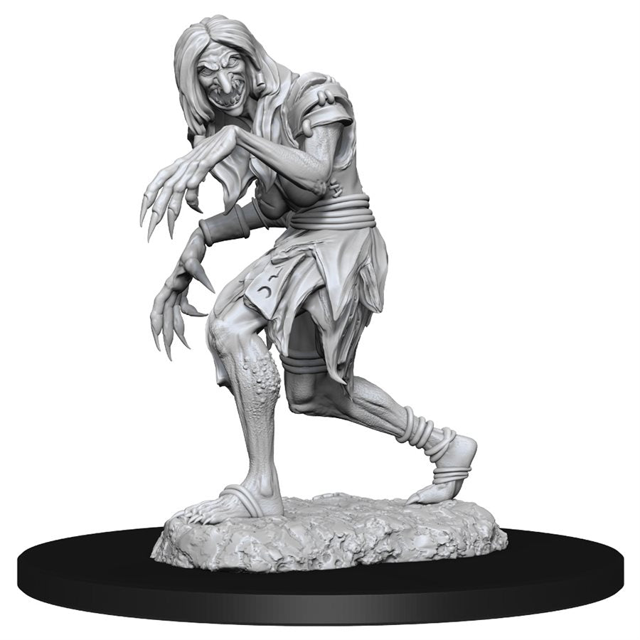 Pathfinder Deep Cuts Unpainted Miniatures: Wave 14: Annis Hag & Green Hag