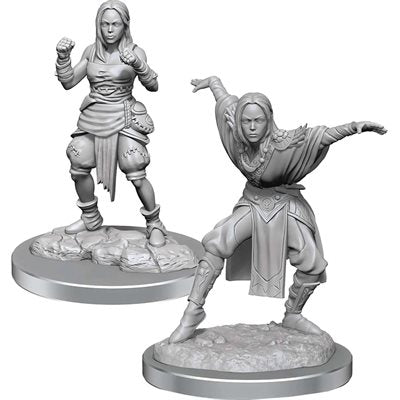Figurines non peintes Pathfinder Deep Cuts : Vague 21 : Moine Demi-Elfe