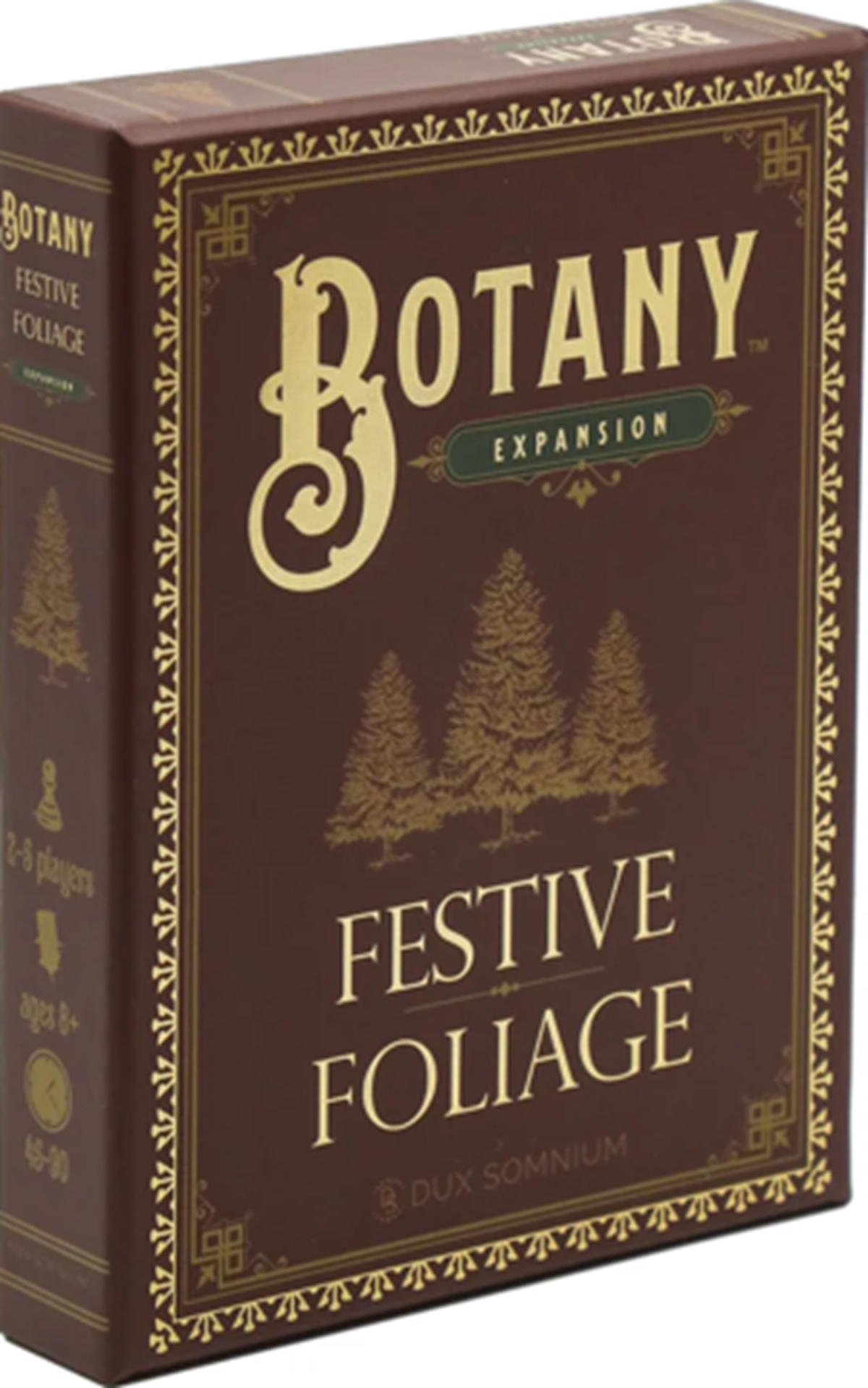Botanique : feuillage festif