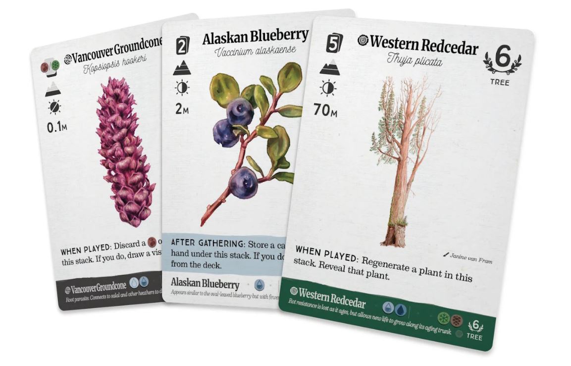 Reforest: Old Growth