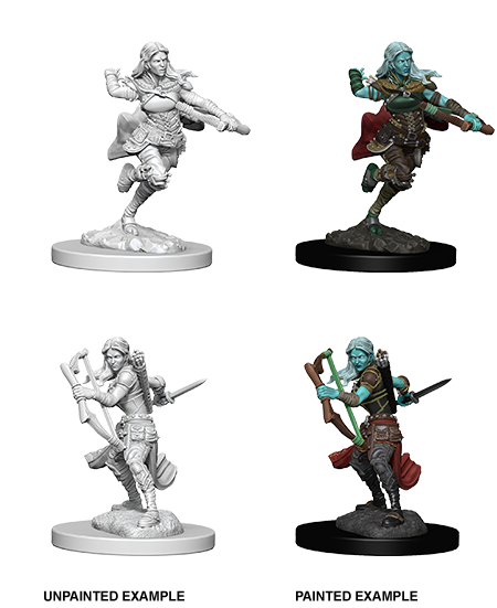 Table Top Cafe D&D Nolzurs Marvelous Unpainted Miniatures: Wave 4: Air Genasi Female Rogue