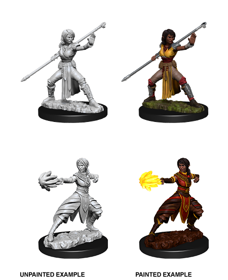 Table Top Cafe D&D Nolzurs Marvelous Unpainted Miniatures: Wave 10: Femal Half-Elf Monk
