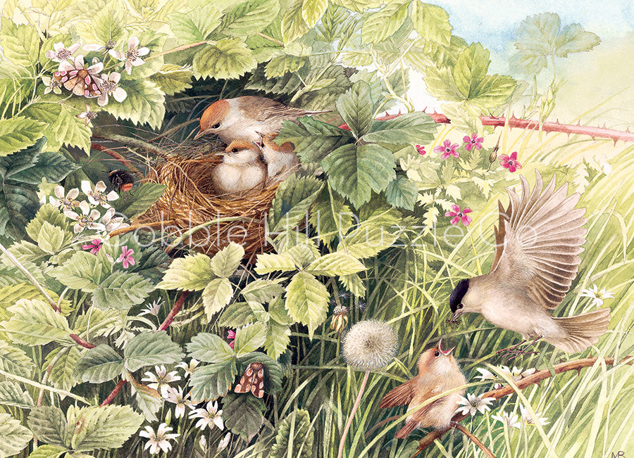 Puzzle: 1000 Hidden Nest