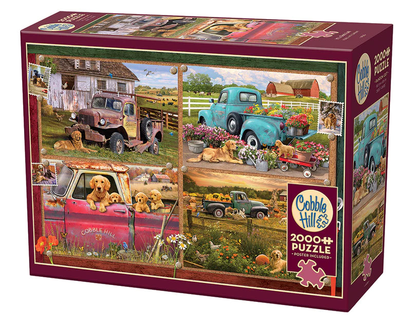 Puzzle : 2000 La vie de chien