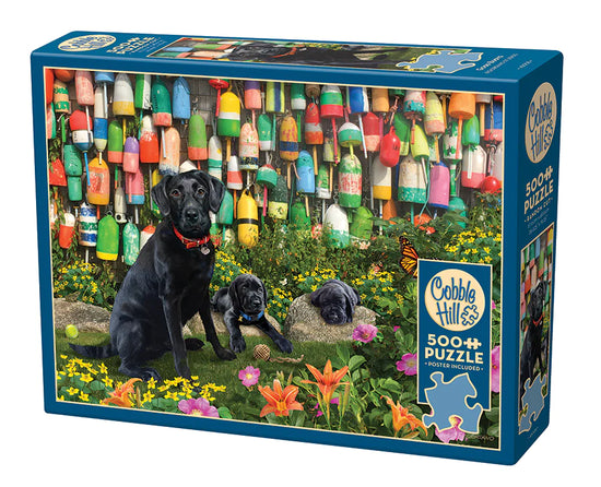 Puzzle: 500 Good Buoys
