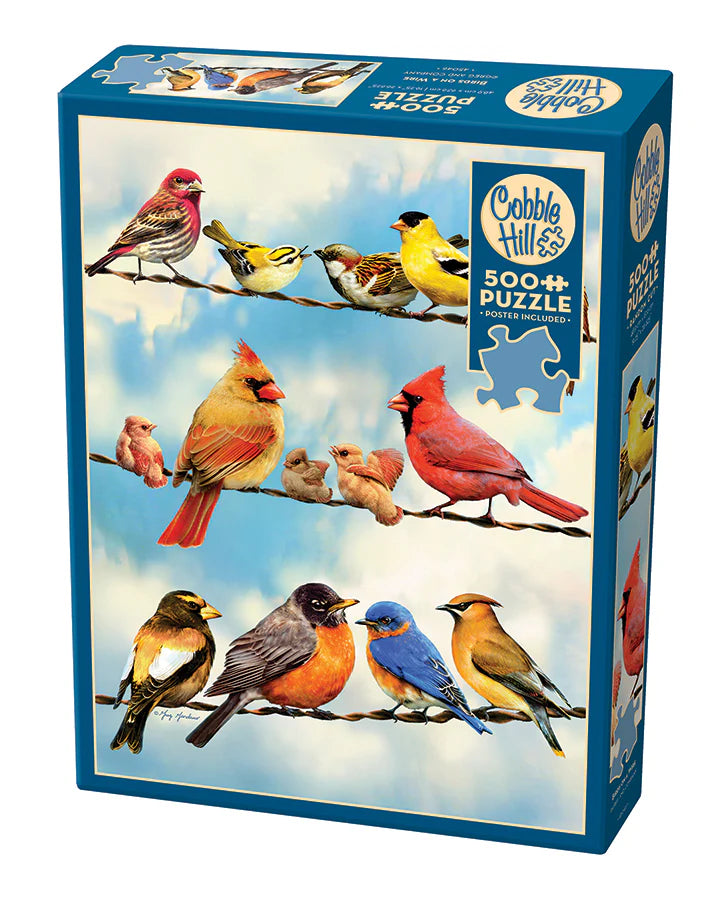 Puzzle: 500 Birds on a Wire