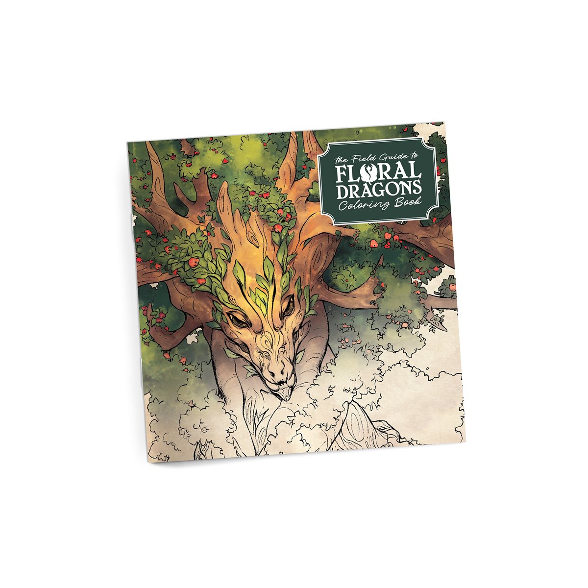 Le guide de terrain des dragons floraux : Livre de coloriage
