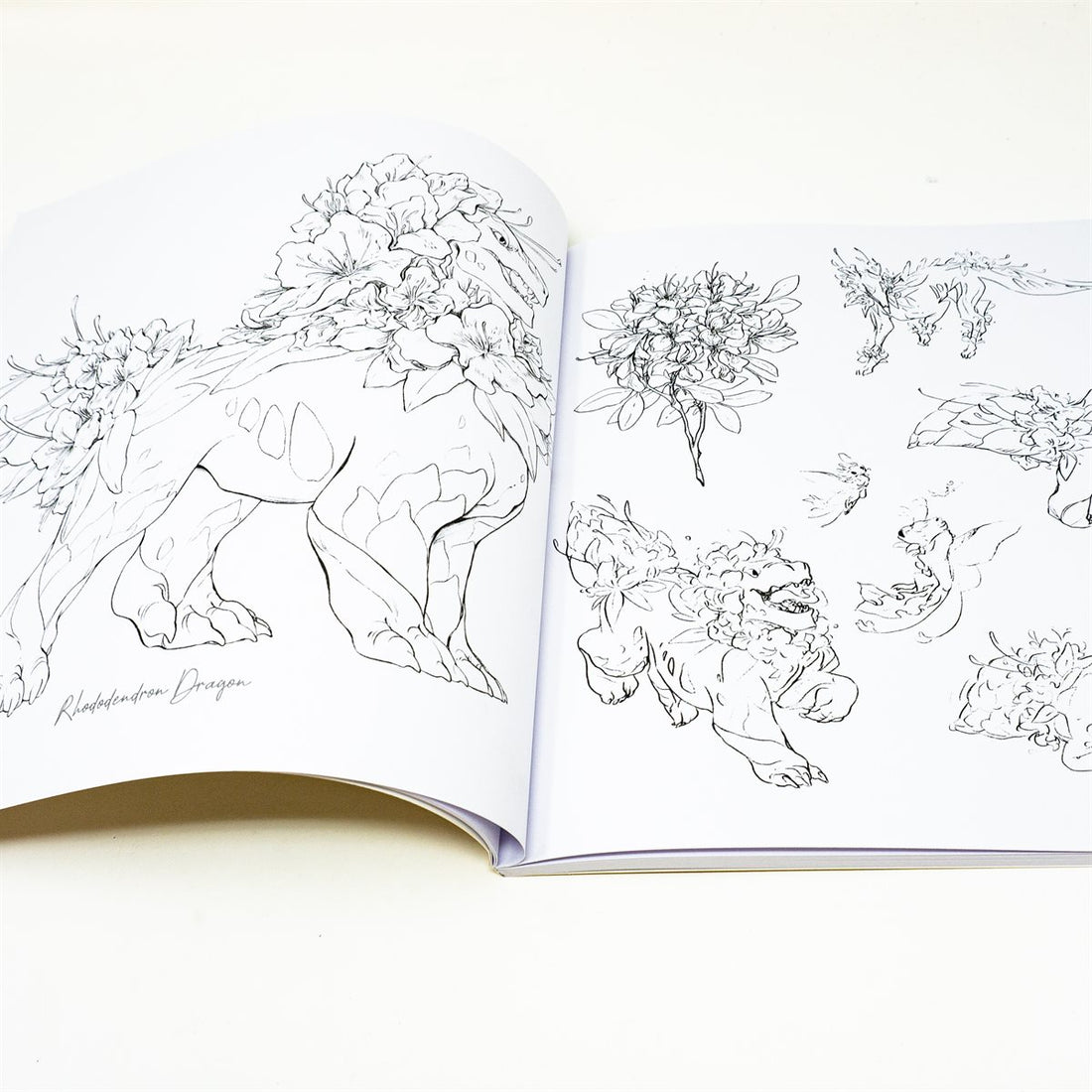 The Field Guide to Floral Dragons: Colouring Book
