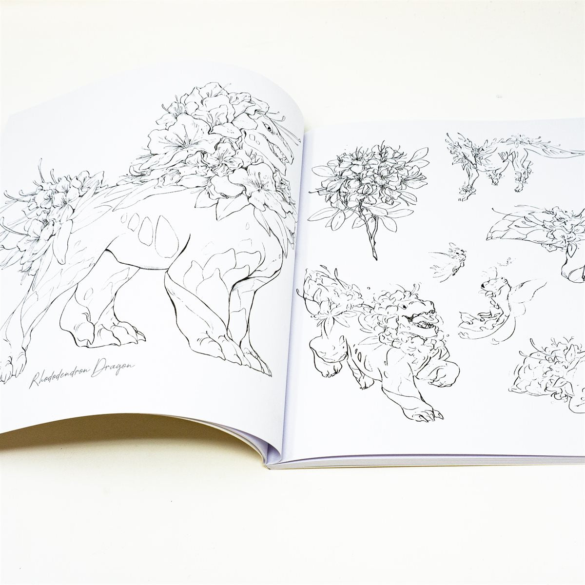Le guide de terrain des dragons floraux : Livre de coloriage