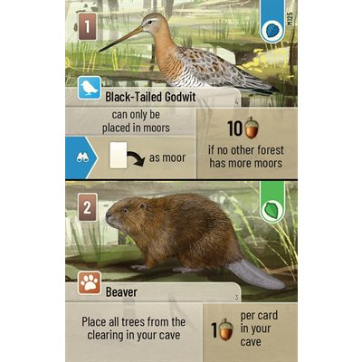 Forest Shuffle - Dartmoor