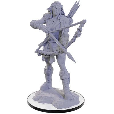 Pathfinder Deep Cuts Miniatures: Wave 22: Wood Giant