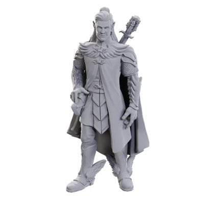Critical Role Unpainted Miniatures: Wave 23: Dorian Storm