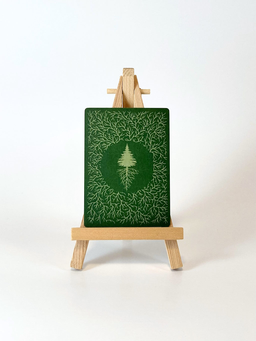 Reforest: Plants of the Pacific Northwest Coast