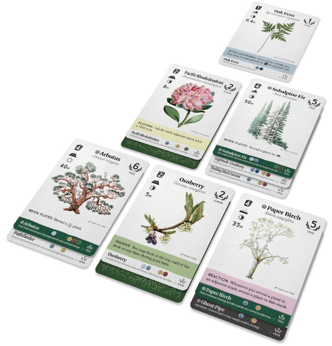 Reforest: Old Growth