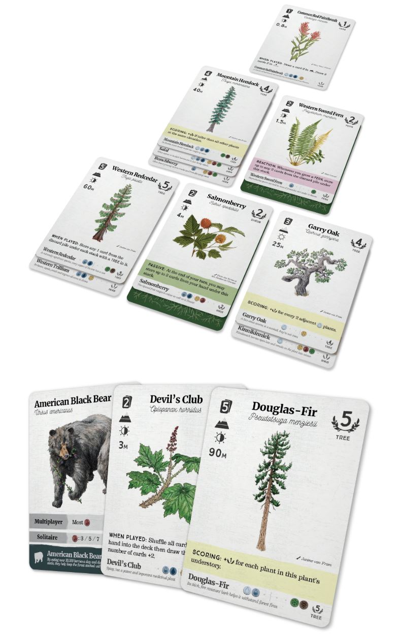 Reforest: Plantes de la côte Pacifique du Nord-Ouest
