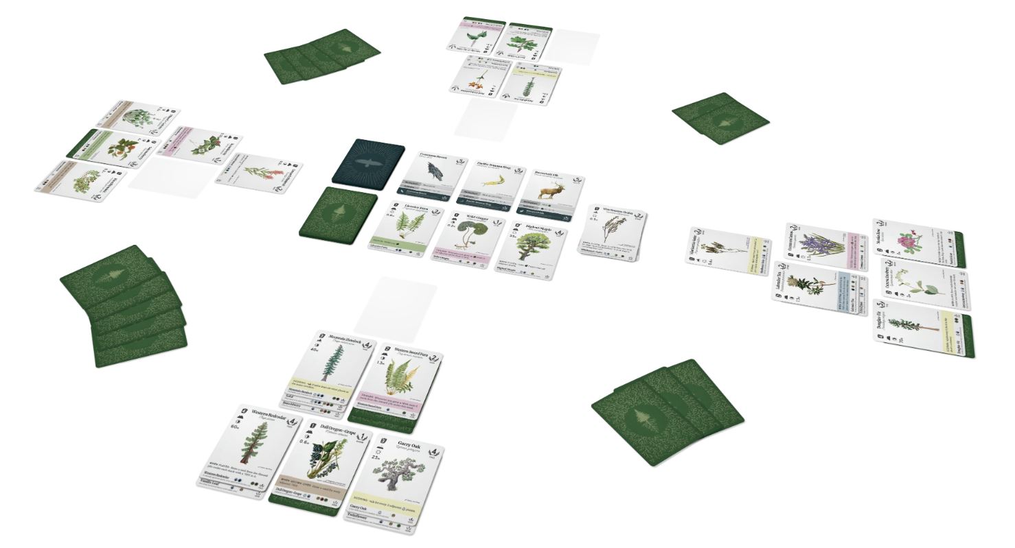 Reforest: Plants of the Pacific Northwest Coast