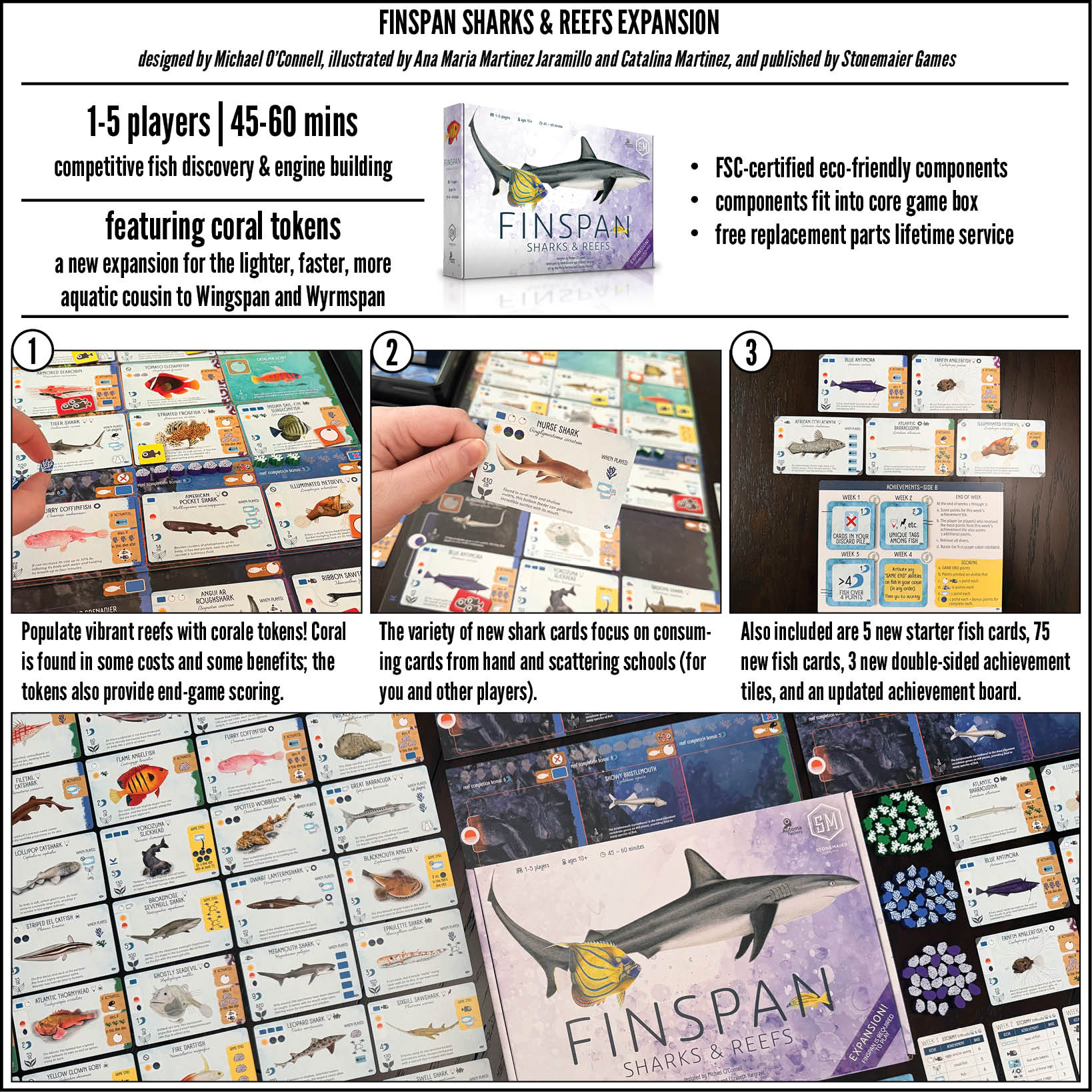 Finspan: Sharks and Reefs