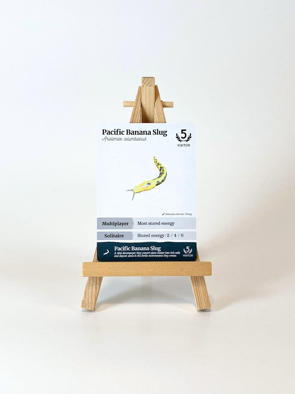 Reforest: Plants of the Pacific Northwest Coast