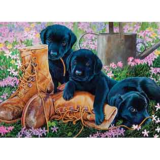 Table Top Cafe Puzzle: 35 Black Lab Puppies (Tray)
