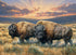 Table Top Cafe Puzzle: 1000 Dusty Plains