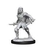 Table Top Cafe D&D Nolzur&