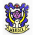 Table Top Cafe Banner Class Pins: Warlock