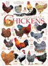 Table Top Cafe Puzzle: 1000 Chicken Quotes