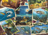 Table Top Cafe Puzzle: 1000 Fish Pics