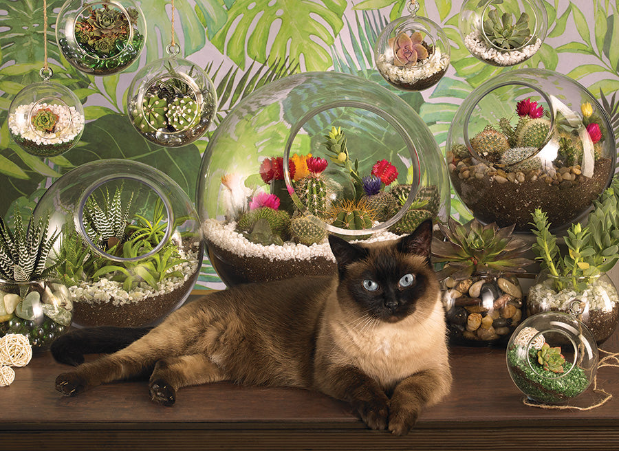 Puzzle : Chat terrarium 1000 pièces