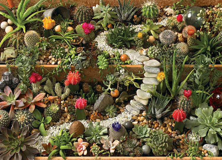 Table Top Cafe Puzzle: 1000 Succulent Garden