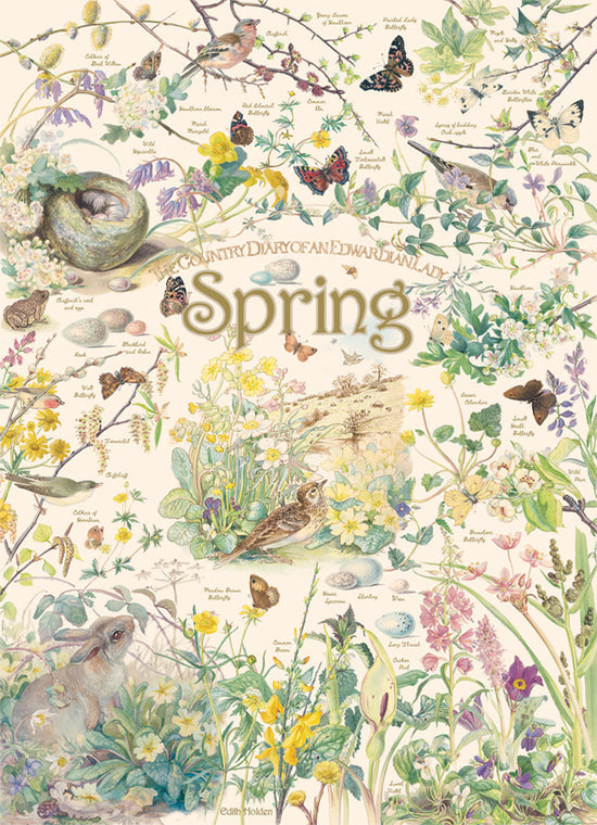 Table Top Cafe Puzzle: 1000 Country Diary: Spring