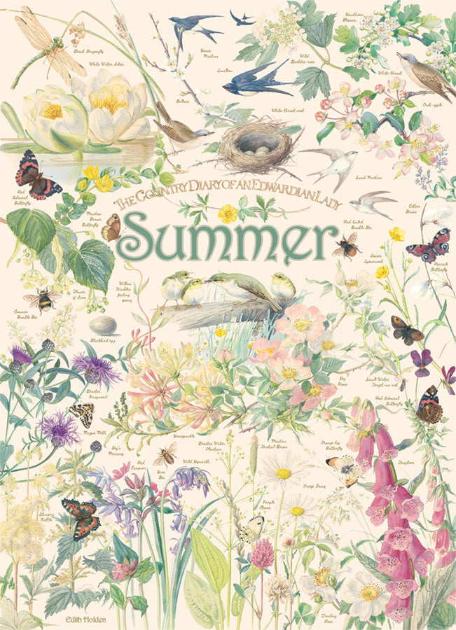 Puzzle: 1000 Country Diary: Summer