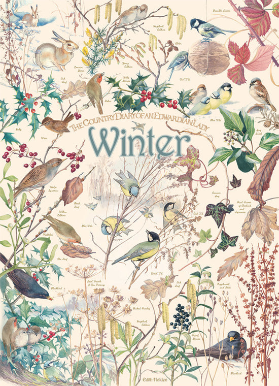 Table Top Cafe Puzzle: 1000 Country Diary: Winter