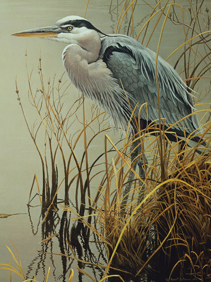 Puzzle: 500 Great Blue Heron