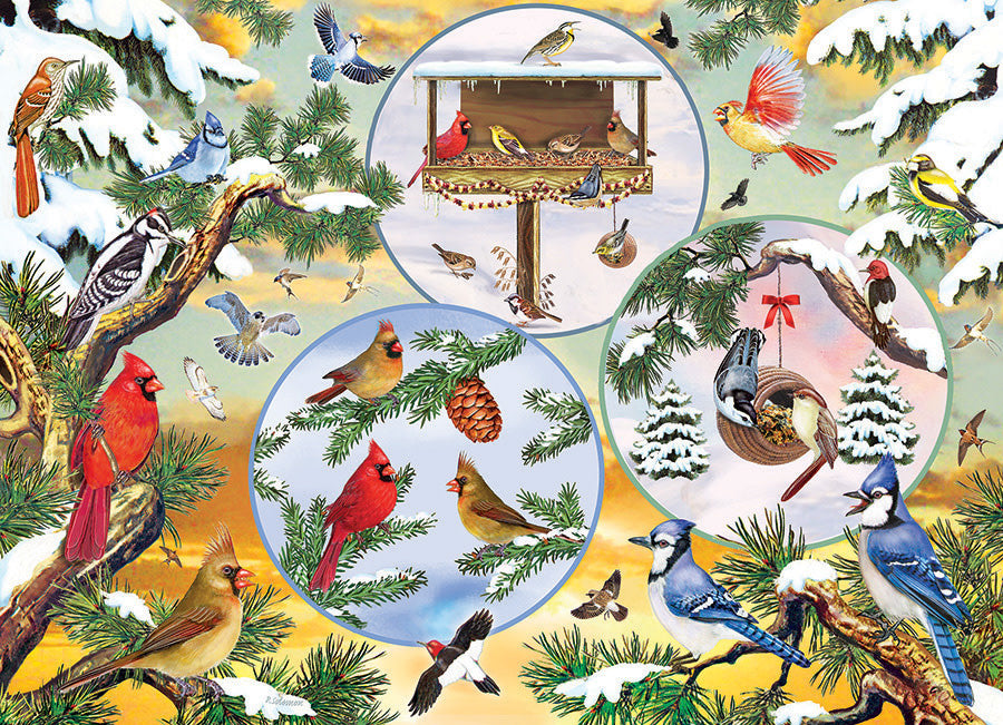 Casse-tête : 500 Magic Oiseaux d&